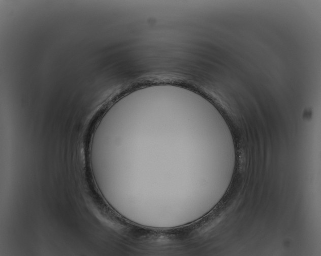 X0000094810254200711161011