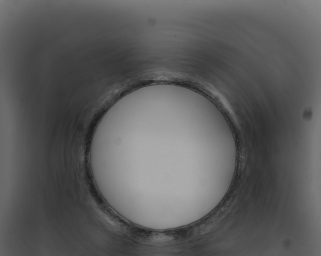 X0000094810257200711161011