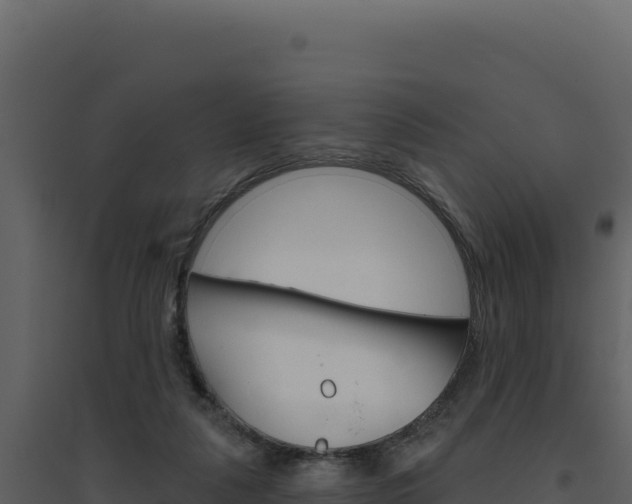 X0000094810259200711161011