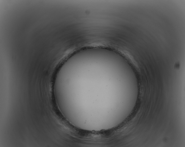 X0000094810260200711161011
