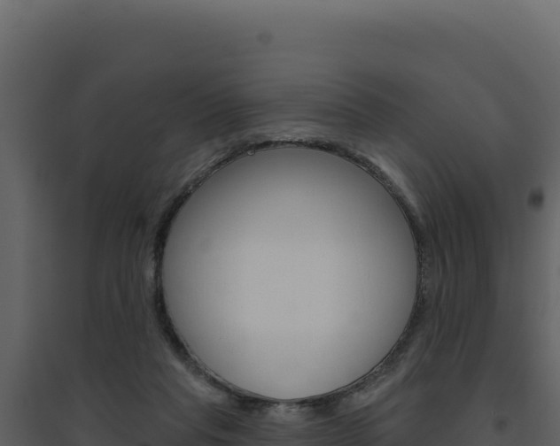 X0000094810261200711161011
