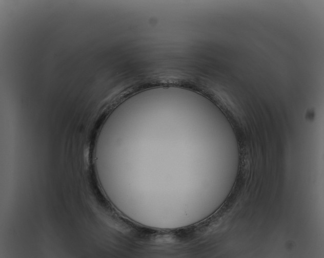 X0000094810262200711161011