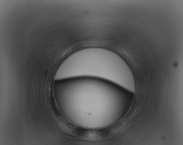 X0000094810264200711161011