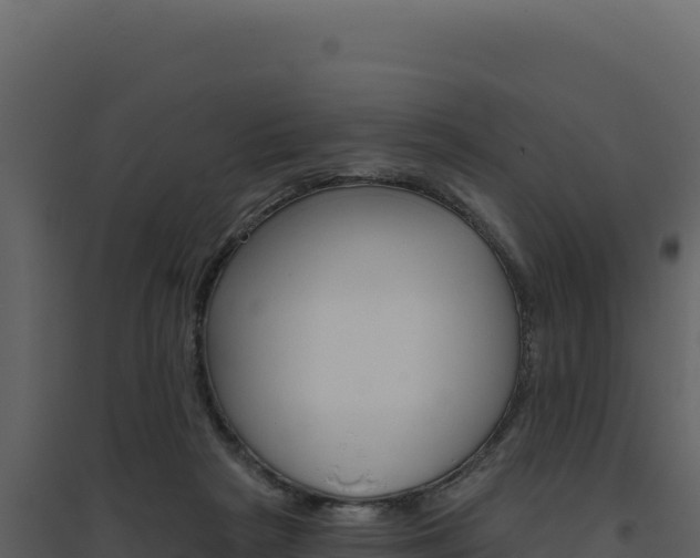 X0000094810265200711161011