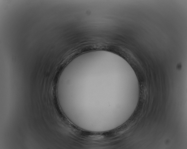 X0000094810266200711161011