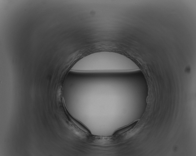 X0000094810288200711161011