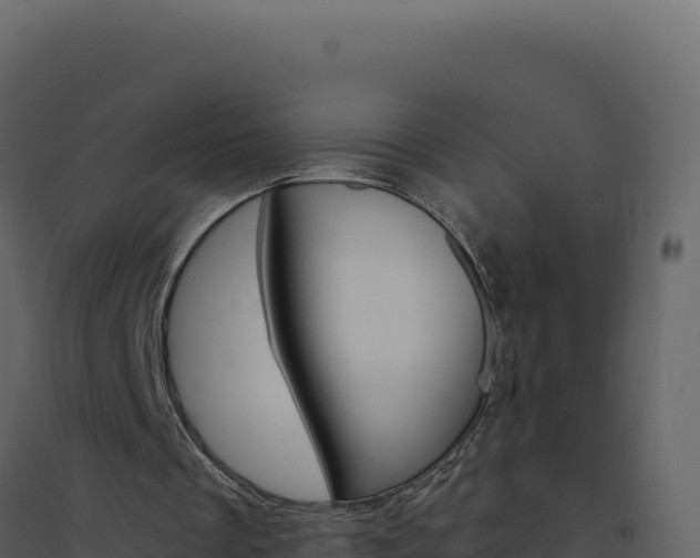 X0000094810289200711161010