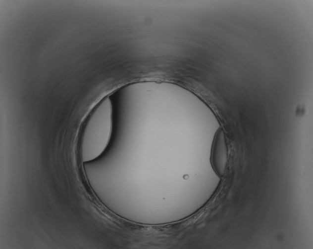 X0000094810290200711161010