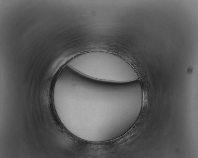 X0000094810291200711161010