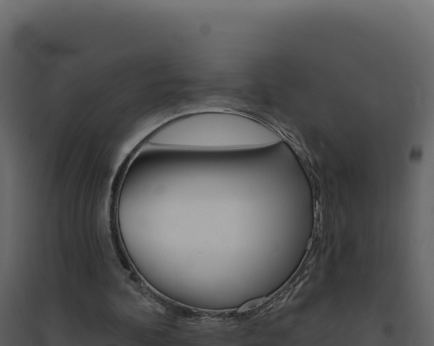 X0000094810292200711161010