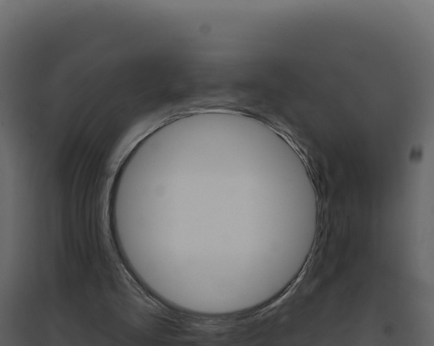 X0000094810293200711161010