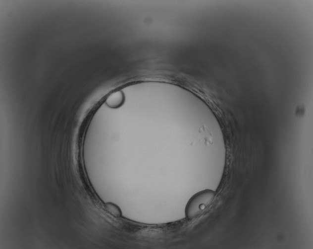 X0000094810294200711161010
