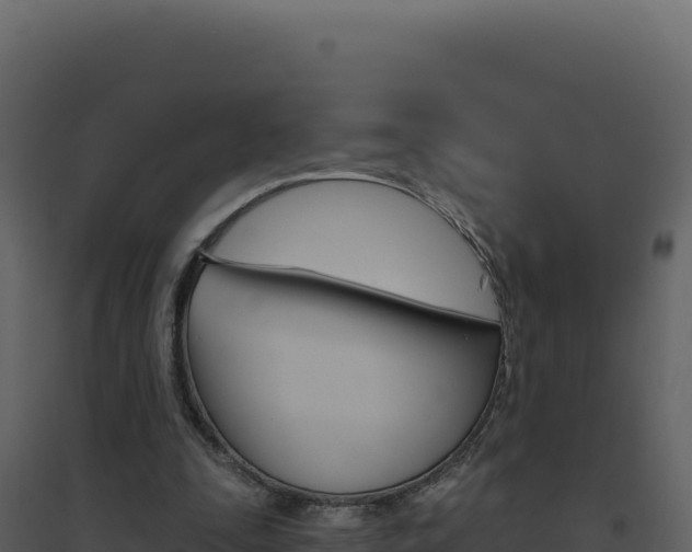 X0000094810295200711161010