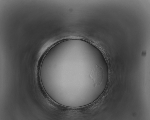 X0000094810296200711161010