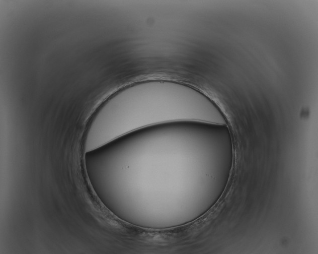 X0000094810297200711161010