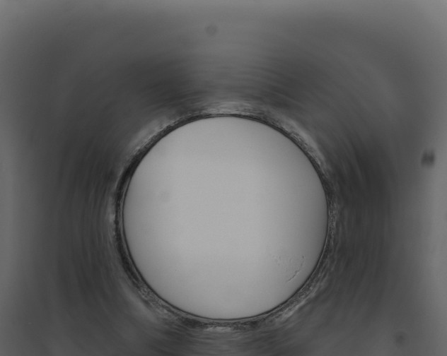X0000094810298200711161010