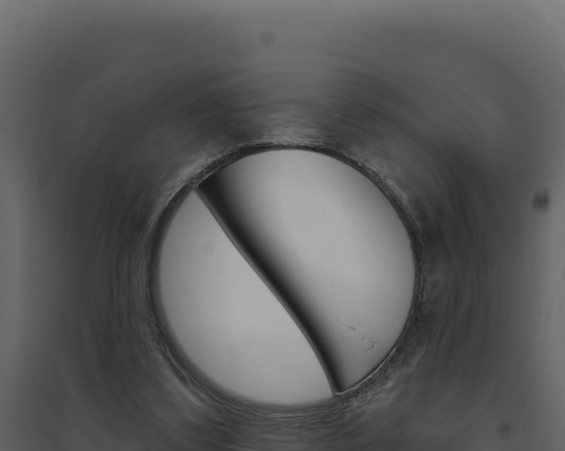 X0000094810299200711161010