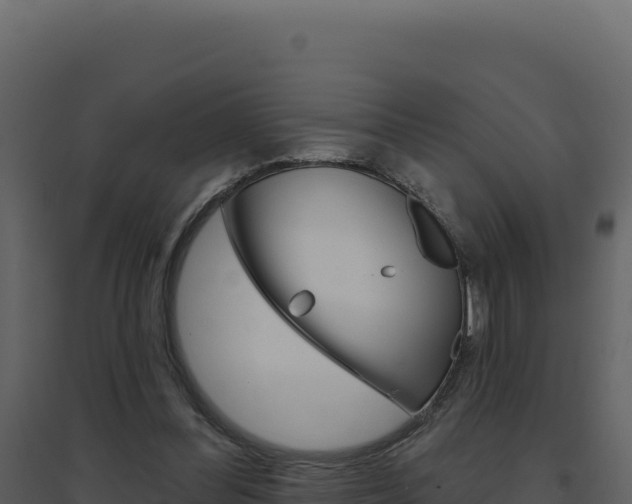 X0000094810300200711161010
