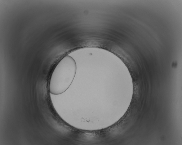 X0000094810302200711161010