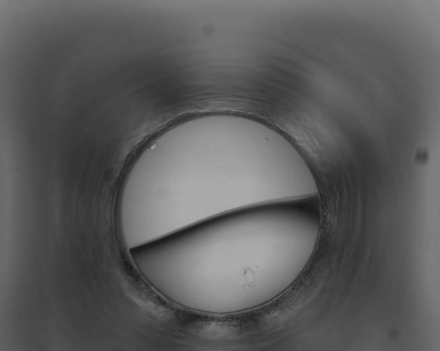 X0000094810303200711161010