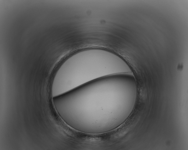 X0000094810304200711161010