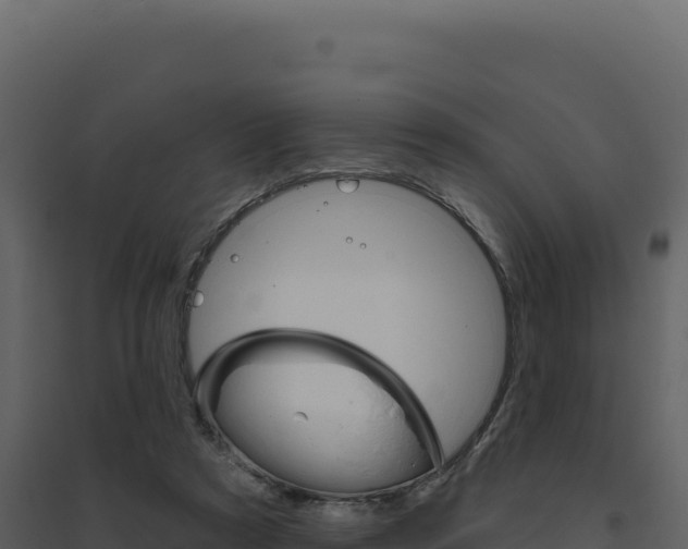 X0000094810305200711161010