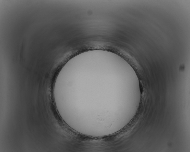 X0000094810306200711161010