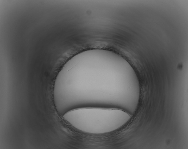 X0000094810307200711161010