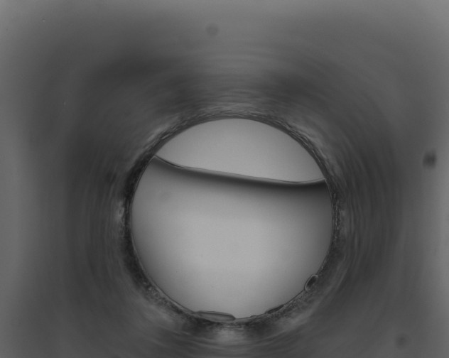 X0000094810308200711161010