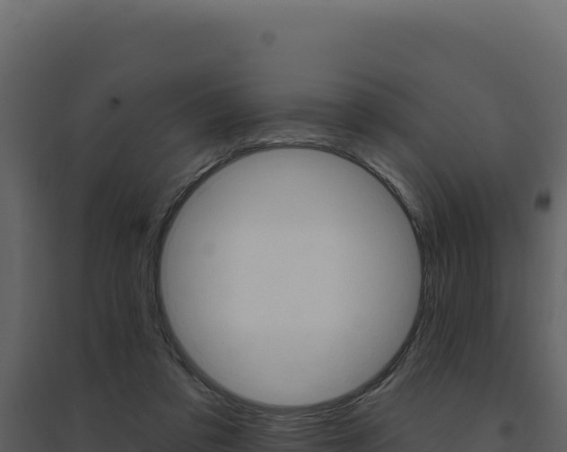 X0000094810309200711161010
