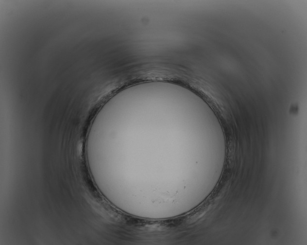 X0000094810310200711161010