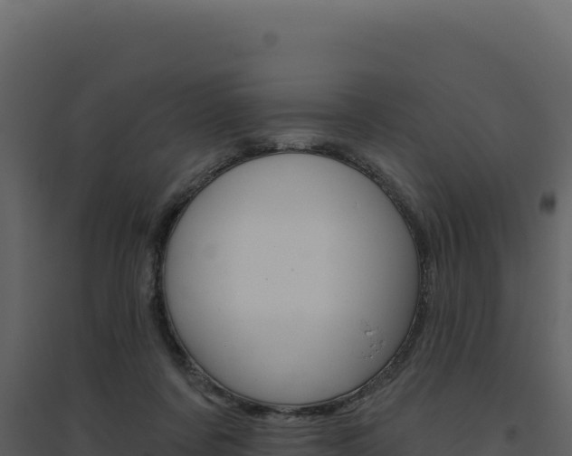 X0000094810311200711161010