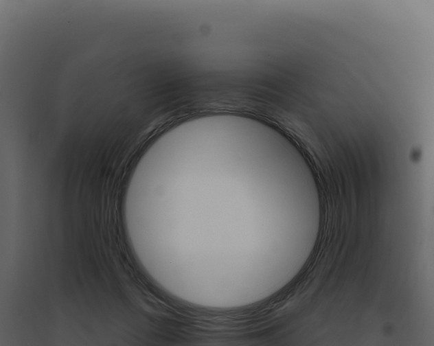 X0000094810312200711161010
