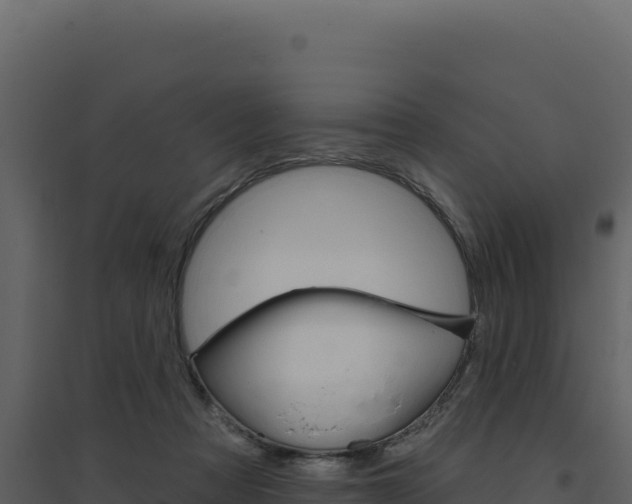 X0000094810313200711161010