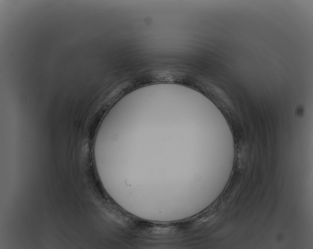 X0000094810314200711161010