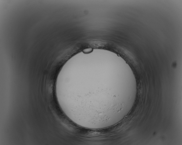 X0000094810315200711161010