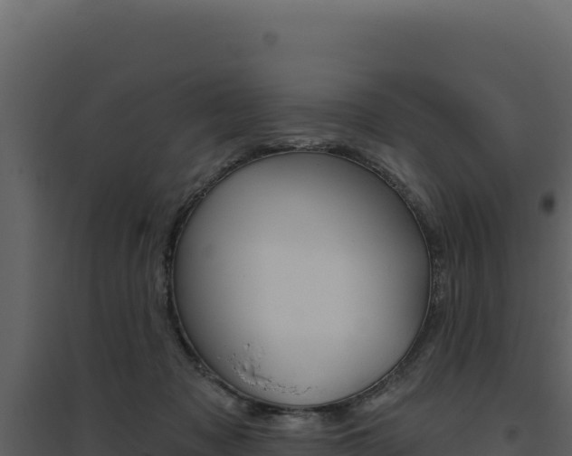 X0000094810317200711161010