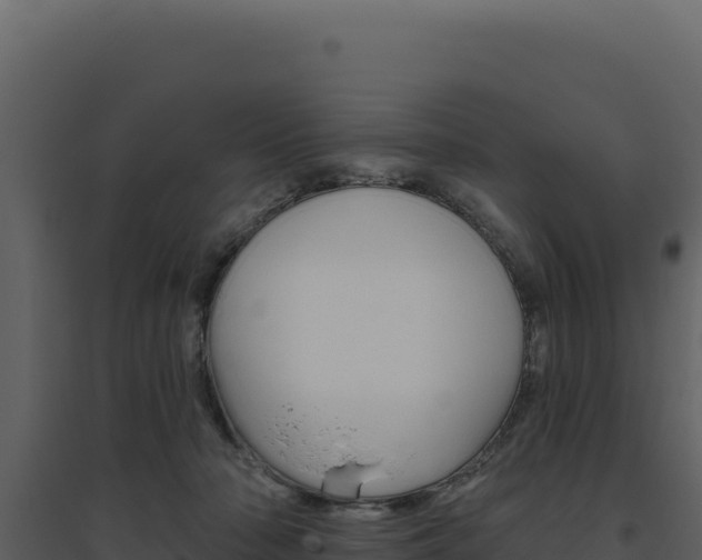 X0000094810318200711161010