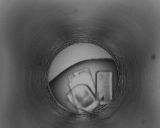 X0000094810320200711161010
