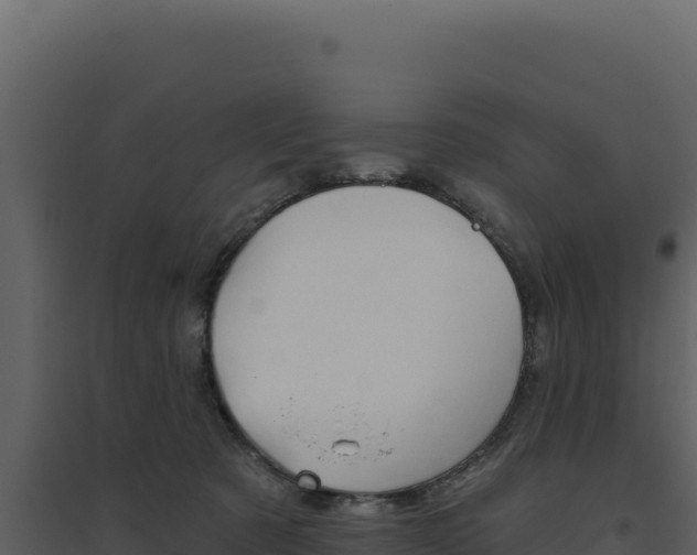 X0000094810321200711161010