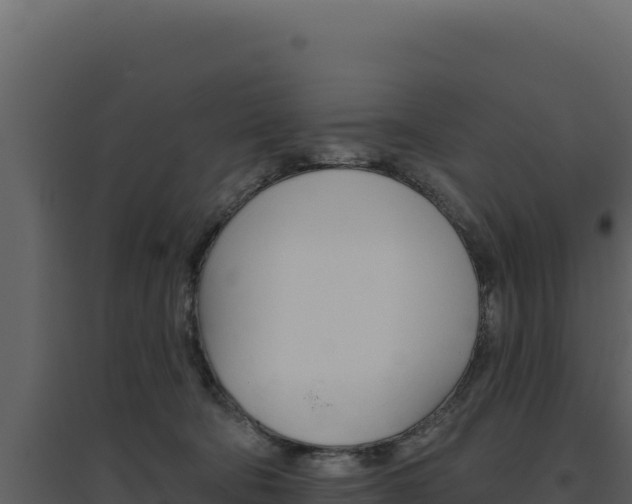 X0000094810322200711161010