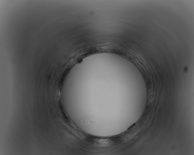 X0000094810324200711161010