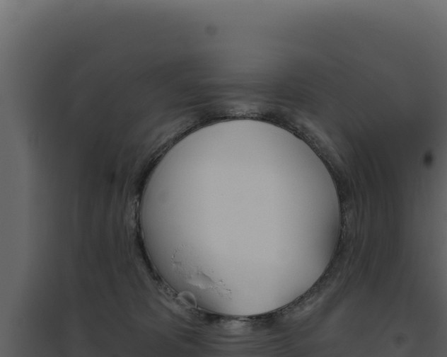 X0000094810325200711161010