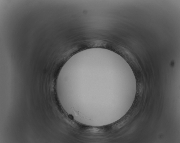 X0000094810326200711161010