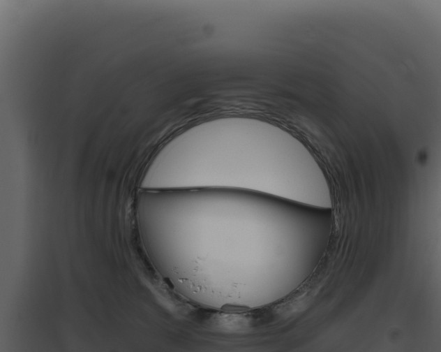 X0000094810327200711161010