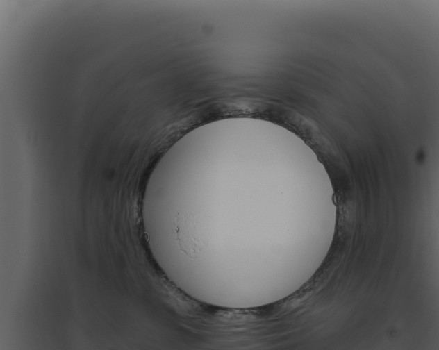 X0000094810331200711161010