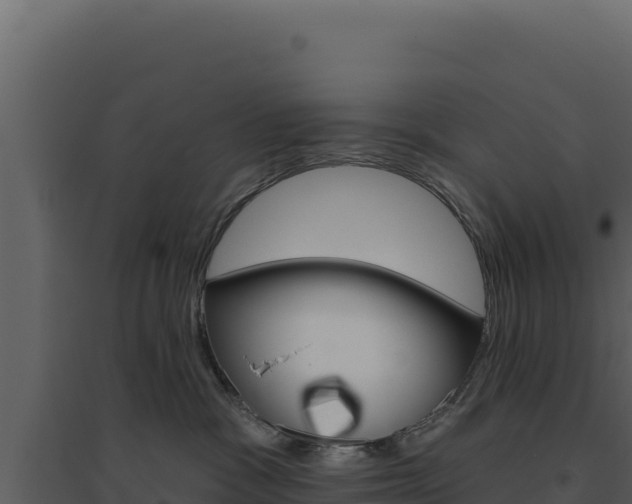 X0000094810333200711161010