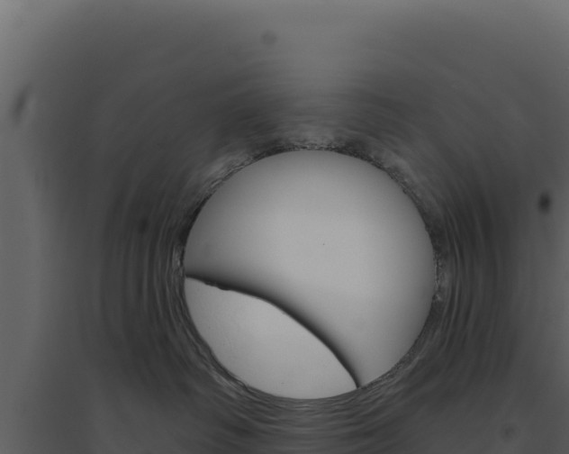 X0000094810334200711161010