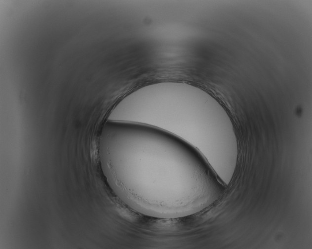 X0000094810335200711161010