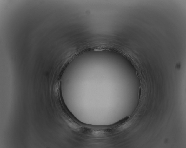 X0000094810336200711161010